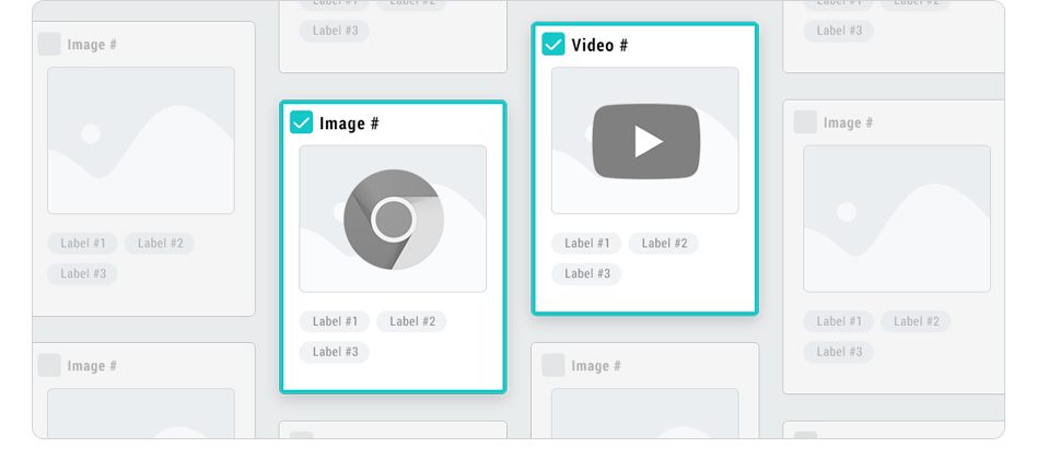 Dataset Web Collection